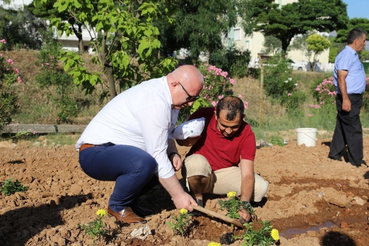 Engelli Bireyler, Üreterek Kazanacak