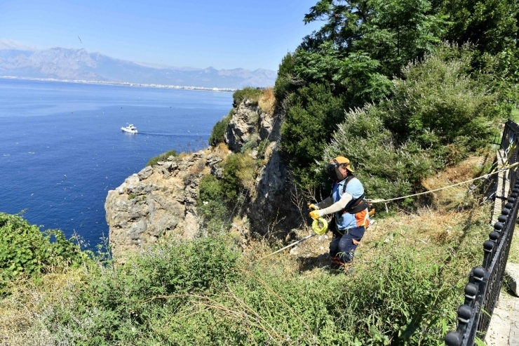 Dağcılar 40 Metrelik Falezleri Çöpten Arındırdı