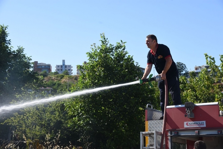 Sinop’ta Ot Yangını