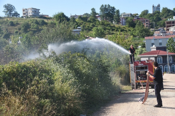 Sinop’ta Ot Yangını