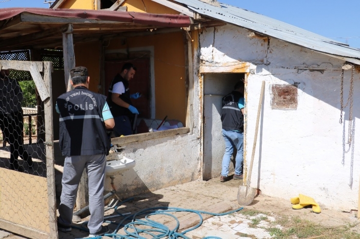 Hırsızlar Anne Koyunu Kuzularından Ayırmadı