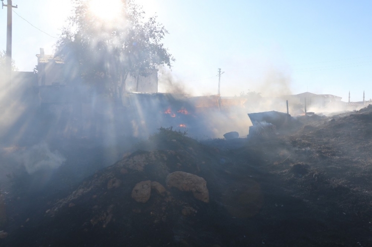 Ot Yangını Korkuttu