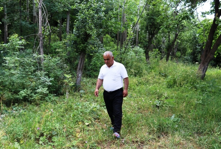 "Uykuda Ölürüm" Korkusu Yüzünden Üç Yıldır Uyuyamıyor
