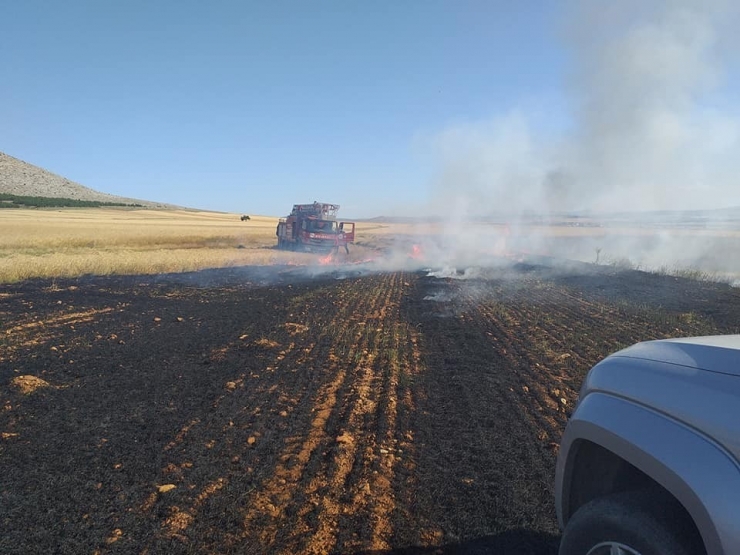 10 Dönümlük Arpa Tarlası, Yangında Kül Oldu
