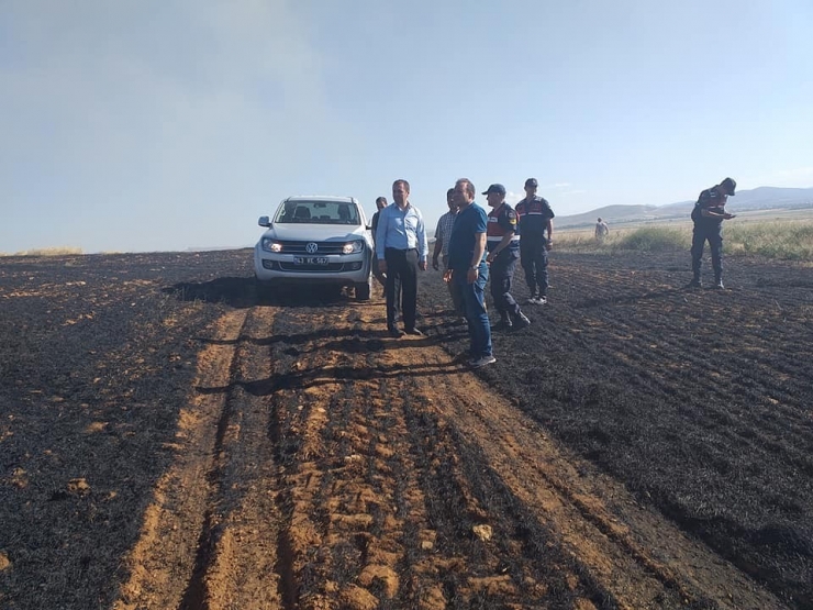 10 Dönümlük Arpa Tarlası, Yangında Kül Oldu