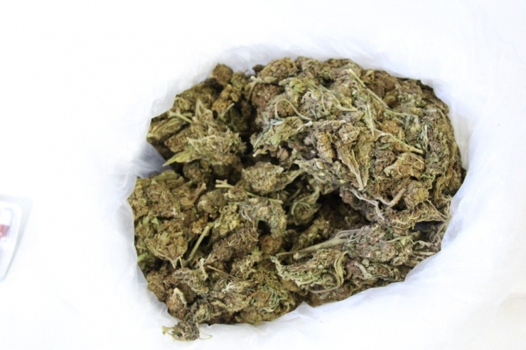 Amasya’da Uyuşturucu Operasyonu: 2 Gözaltı