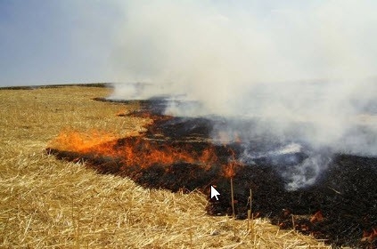 Anız Yakanlara İdari Para Cezası