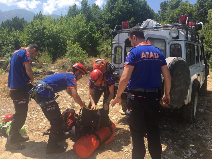 Uludağ’da Ihlamur Toplarken Ağaçtan Düştü, Yardımına Kurtarma Ekipleri Koştu