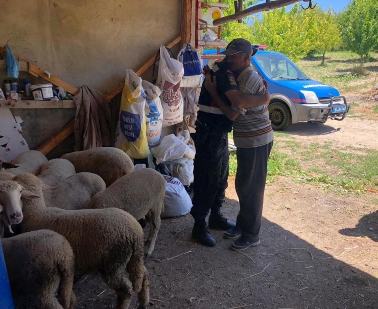Kayıp Hayvanlar Drone’la Bulundu