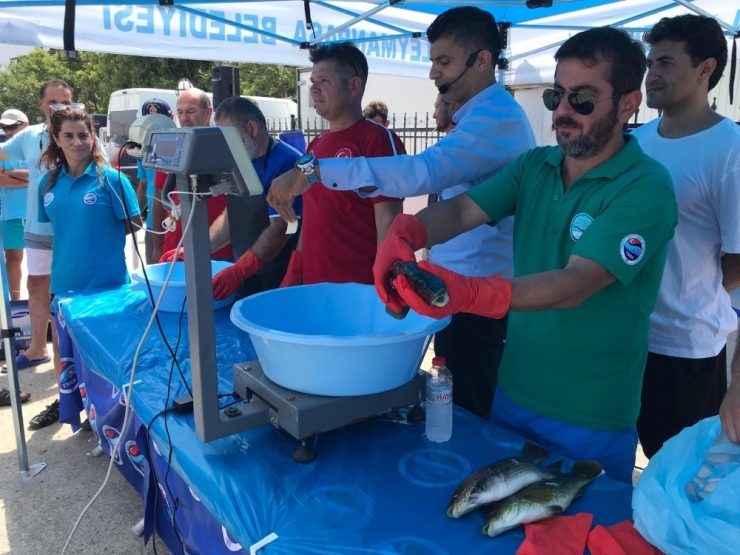 Tekirdağ’da Zıpkınla Balık Avı Şampiyonası Heyecanı