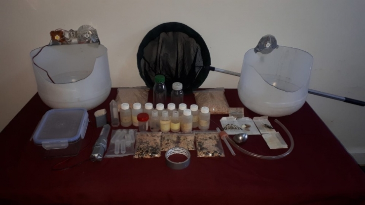 Profesörler Yurt Dışına Kaçırmak İsterken Yakalandı