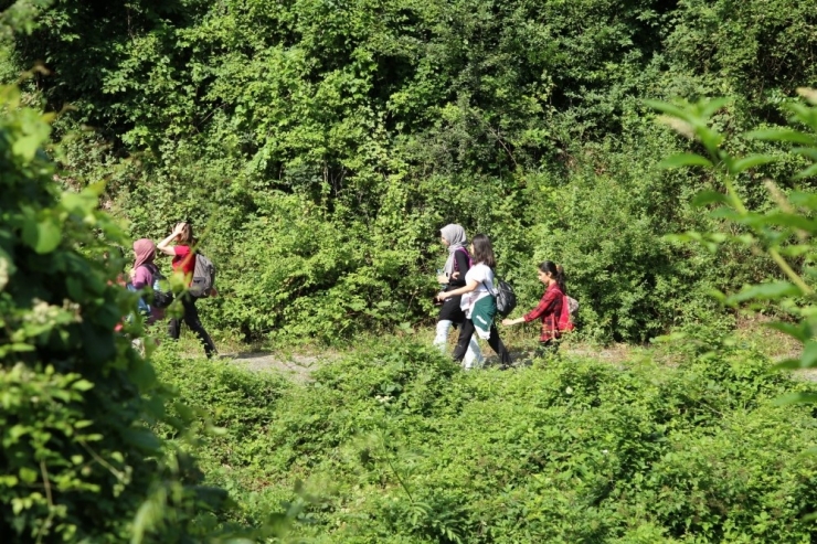 Doğaseverler Çınarlıdere Şelalesine Yürüdü