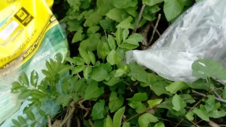 Mudurnu Çayı Kenarına Atılan Kimyasal Madde Çuvalları Tepkiye Neden Oldu