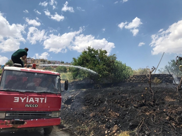 Fıstık Bahçelerine Sıçrayan Yangın Bir Çok Ağacın Yanmasına Neden Oldu