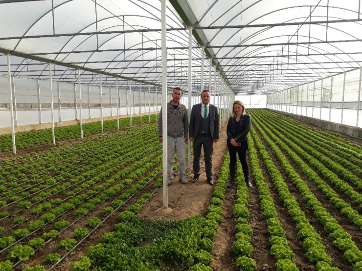 Köyden Kente Göçü Azaltma Projelerine Devlet Desteği