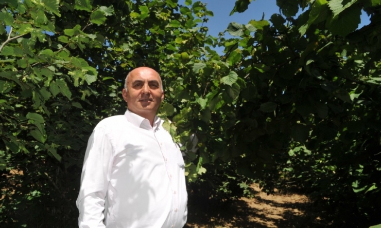 Güral: ”Fındık Üreticisi Ve Ülke Kazanan Taraf Olacak”