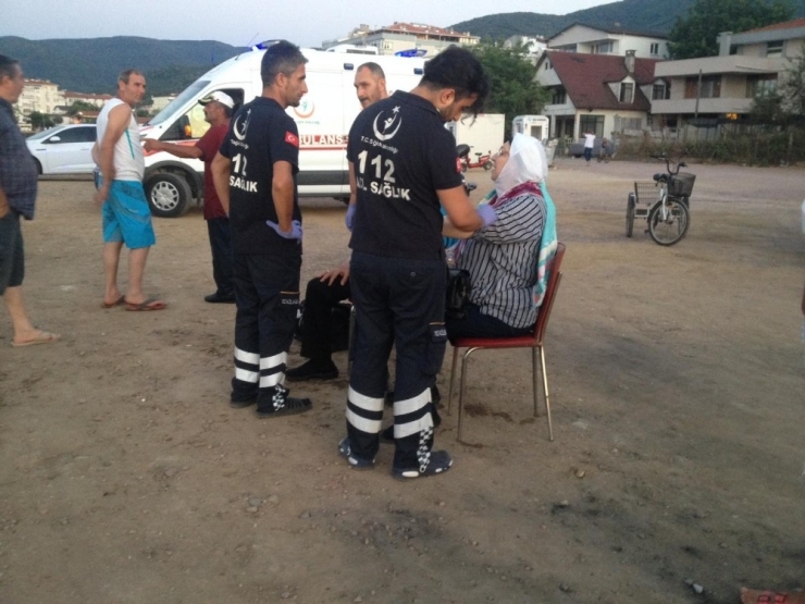 Denizi İzlerken Denize Uçtular