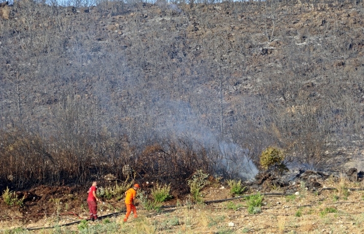 Antalya’da Orman Yangını