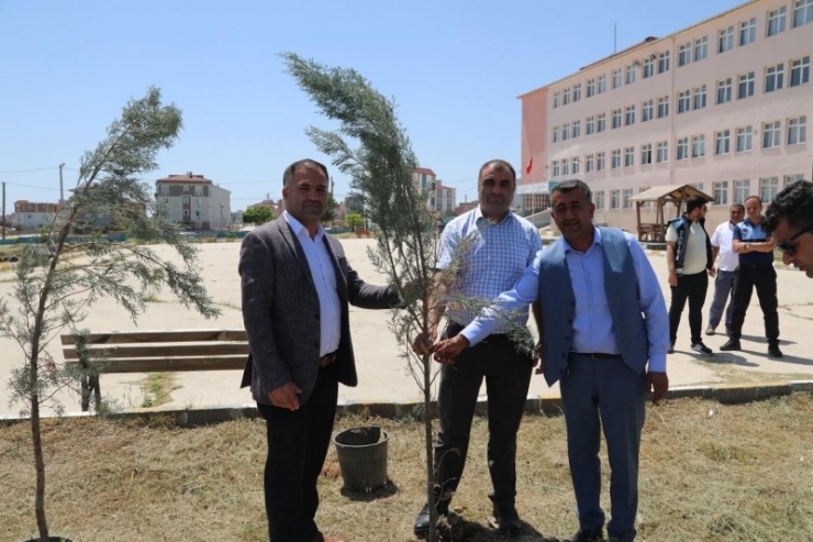 Tekirdağ’da 125 Çam Fidanını Toprakla Buluşturdular