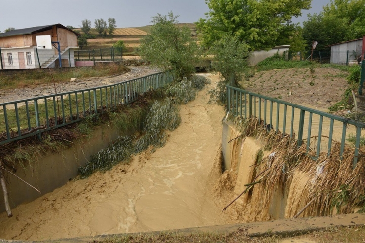 Kastamonu Taşköprü’de Hayvanlar Sele Kapıldı