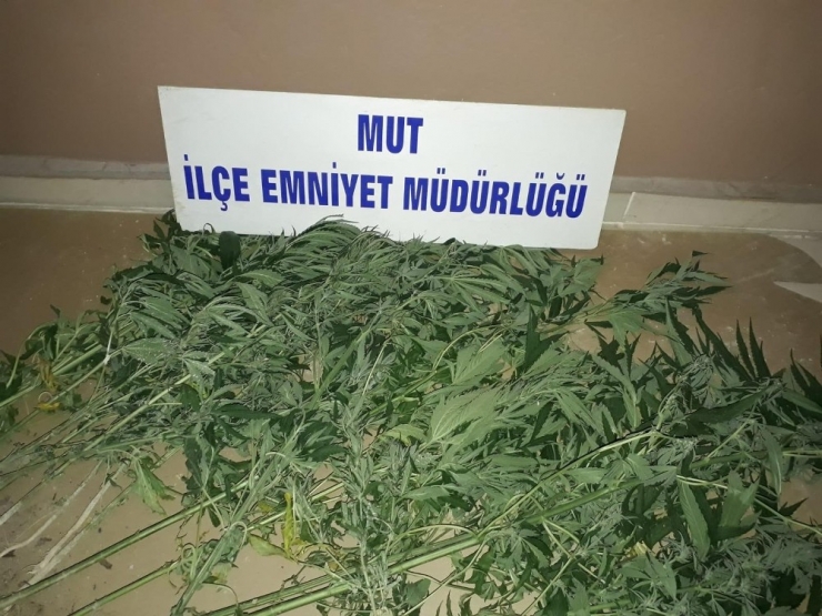 Polis Ve Jandarma Ekipleri Uyuşturucu Tacirlerine Ve Hırsızlara Göz Açtırmıyor