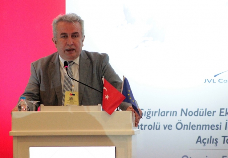 Türkiye’ye Güneydeki Ülkelerden Giriş Yapan Hastalıkla Mücadele Sürüyor