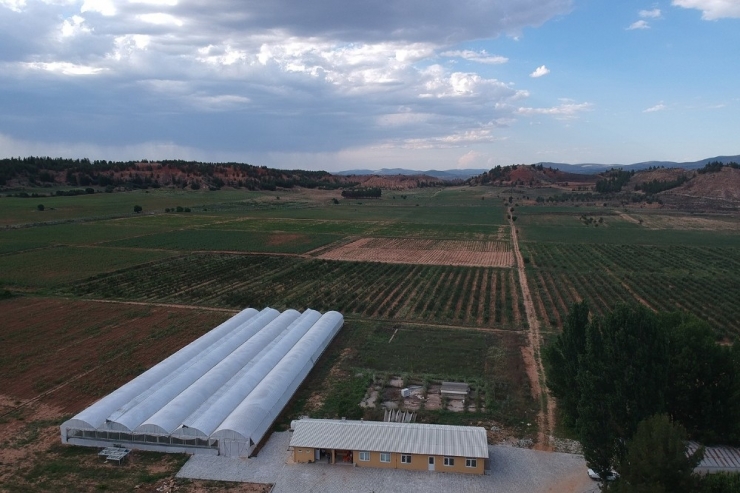 Paü Denizli’nin Çerezlik Ay Çekirdeğinin Geleceği İçin Harekete Geçti