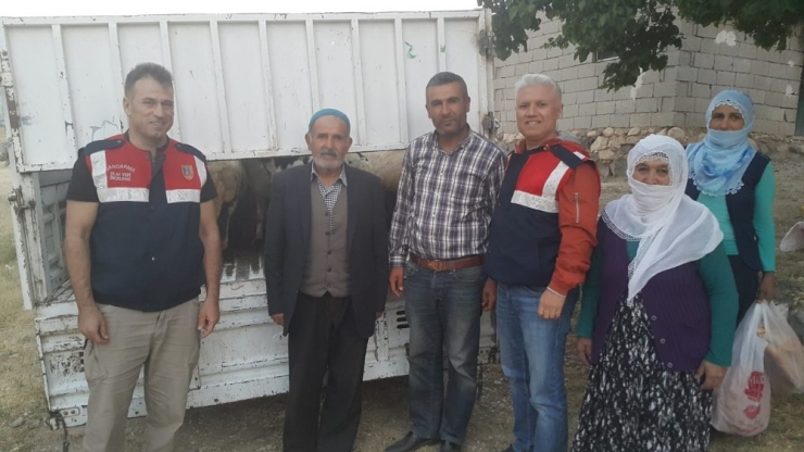 Hayvan Hırsızları Jandarmadan Kaçamadı