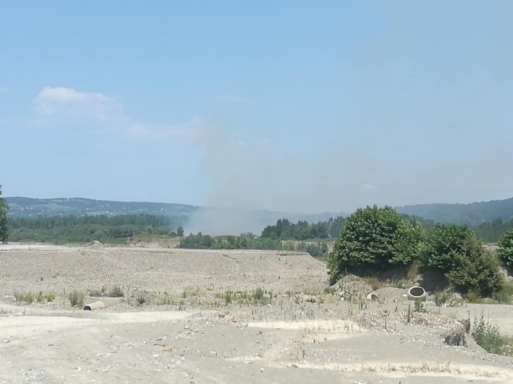 Tutuşan Otlar Paniğe Neden Oldu