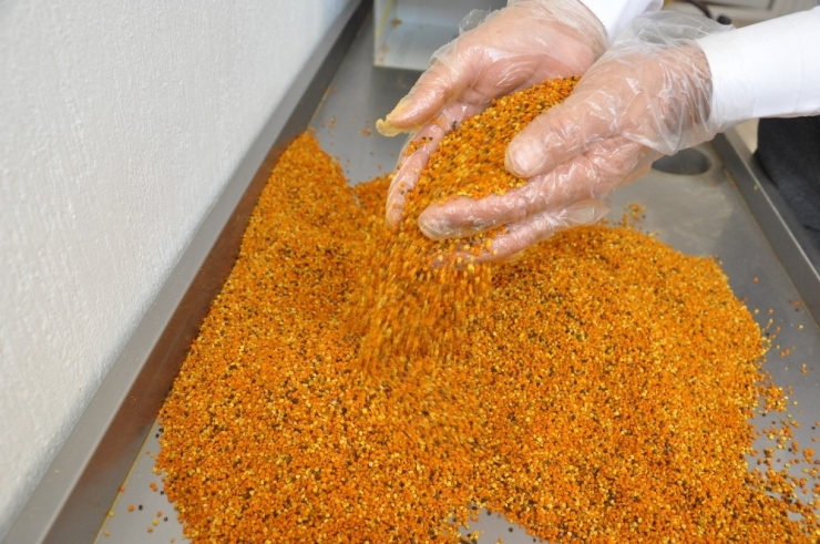 Afyonkarahisar Taşoluk’tan Avrupa’ya Polen İhracatı