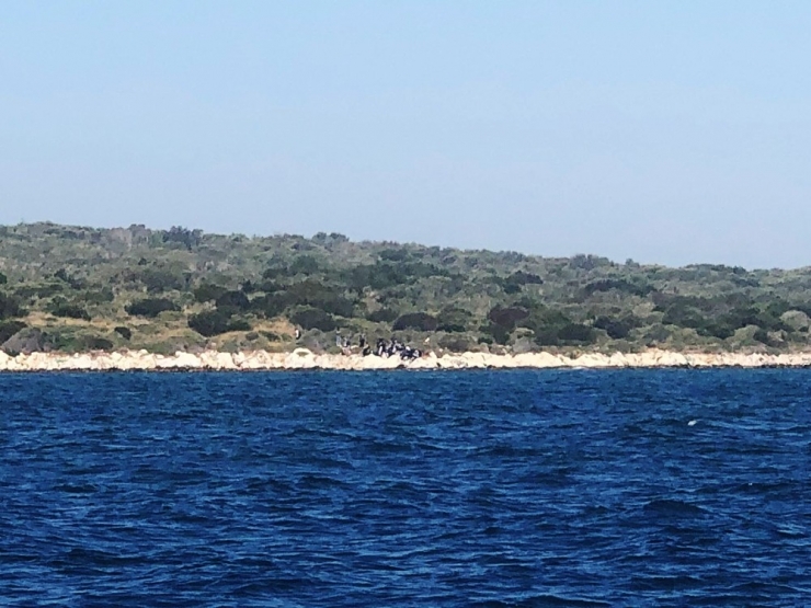 Göçmenler Ada’da Yakalandı