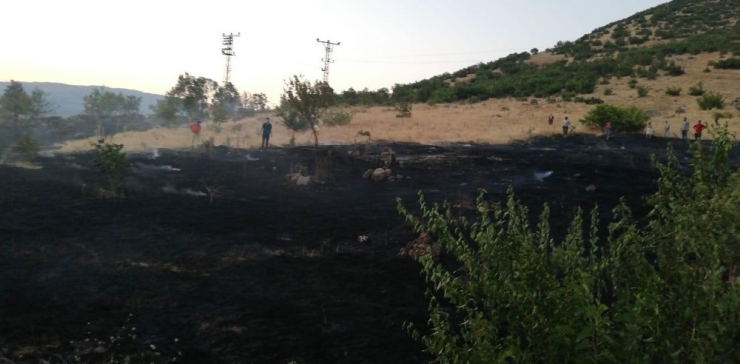 Yangın Ormana Sıçramadan Söndürüldü