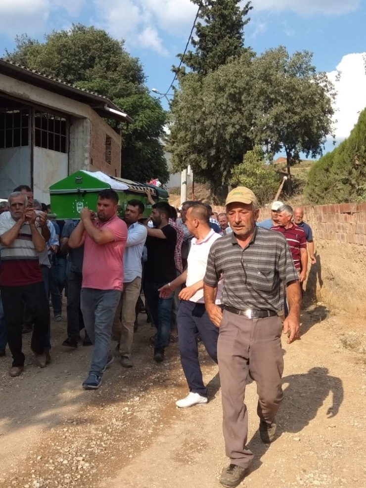 Tilki Vurmak İsterken Kendini Vurdu