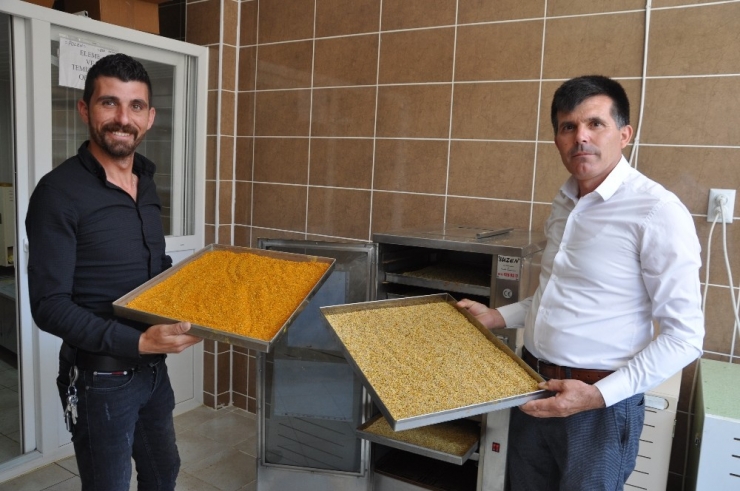 Afyonkarahisar Taşoluk’tan Avrupa’ya Polen İhracatı