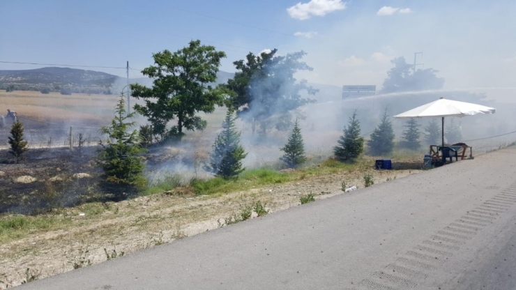 Isparta’da Arazi Yangınında Hububat Ekili Alan Yandı