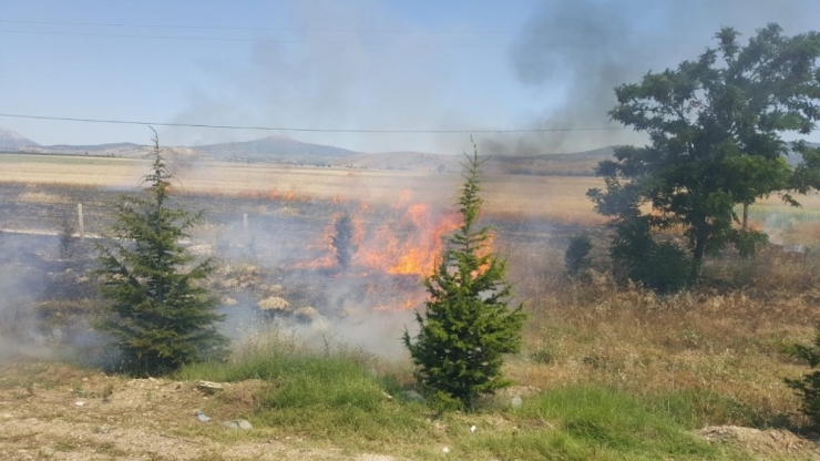 Isparta’da Arazi Yangınında Hububat Ekili Alan Yandı