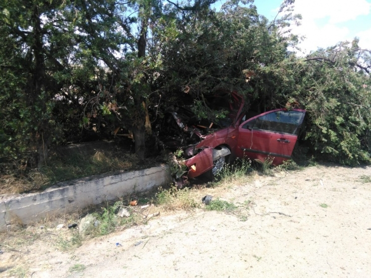 Otomobil Çarptığı Ağacın Altında Kaldı: 3 Yaralı