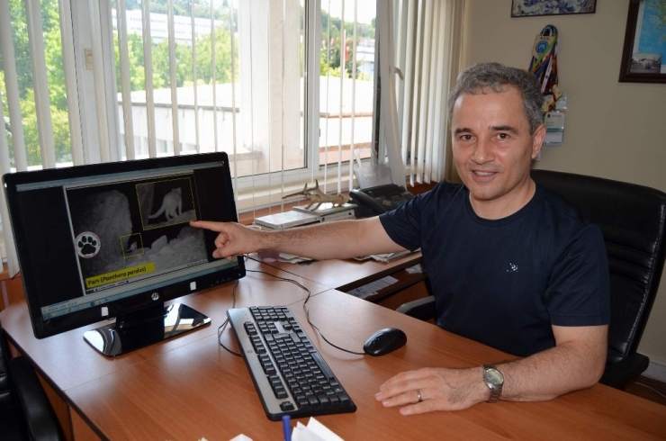 Haban Hayatı Uzmanı Prof. Dr. Başkaya: "Sadece Tunceli’de Değil 30 İlimizde De Var"