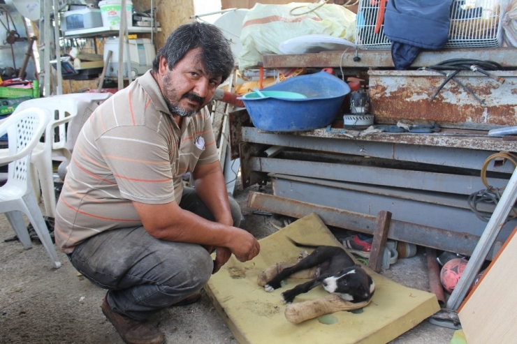 İnsanlık Hala Ölmemiş Dedirtti