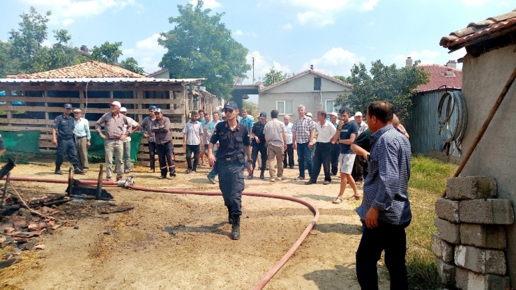 Çiftlikte 5 Bin Balya Saman Kül Oldu