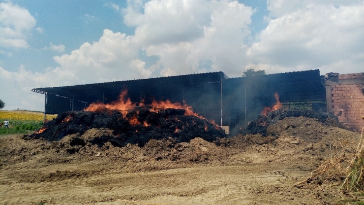 Çiftlikte 5 Bin Balya Saman Kül Oldu