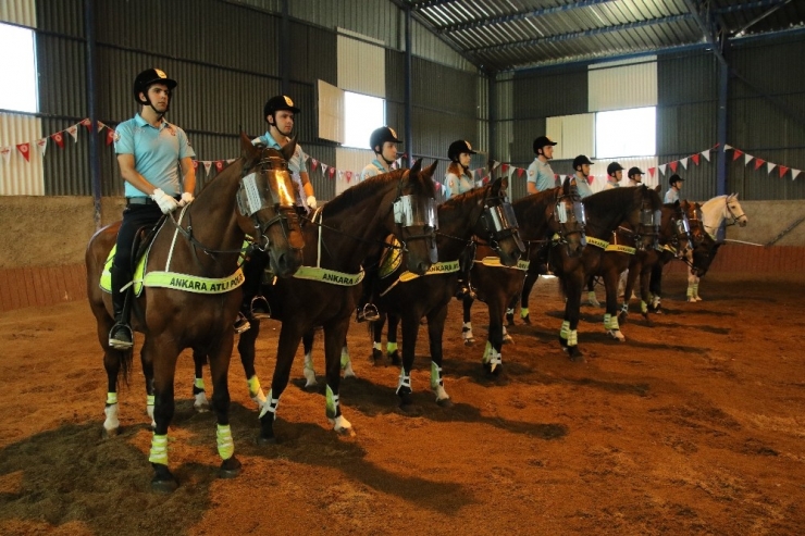 Atlı Birlik Kapılarını İha’ya Açtı