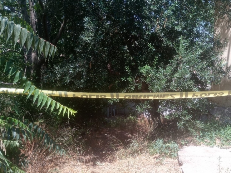 Hastane Randevusuna Gitmeyince Öldüğü Ortaya Çıktı