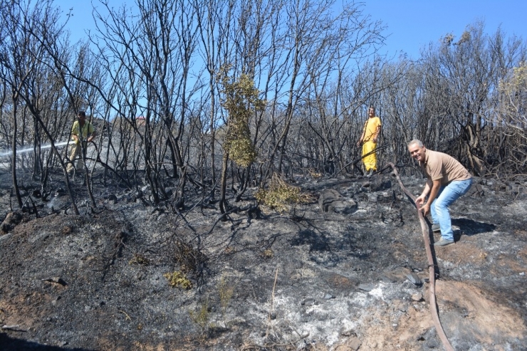 Ayvalık’ta Orman Yangını