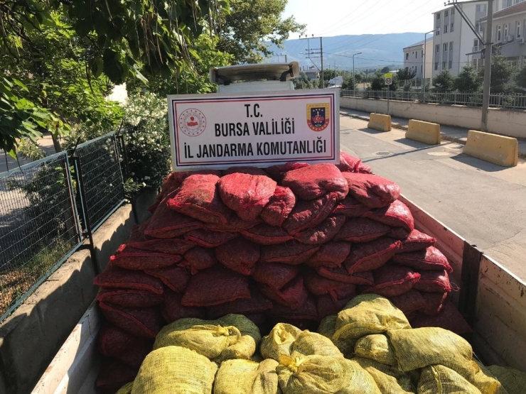 Bursa’da 12 Ton Kaçak Midye Ele Geçirildi