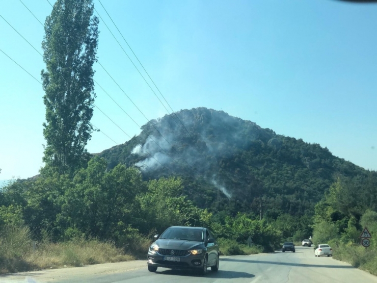 Uludağ Eteklerinde Orman Yangını