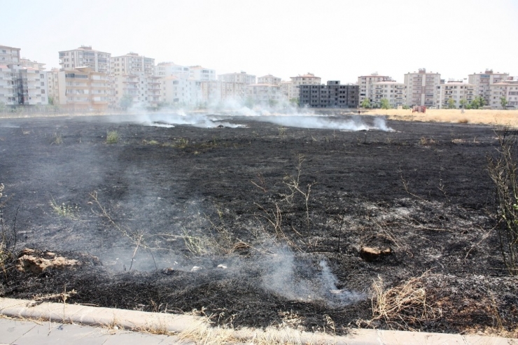 Kurumuş Otlar Alev Aldı, Vatandaşlar Zor Anlar Yaşadı