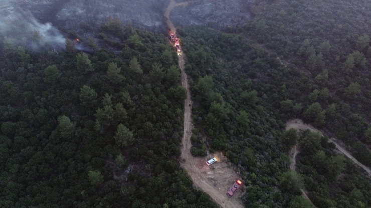 İzmir’deki Orman Yangınını Söndürme Çalışmaları Sürüyor