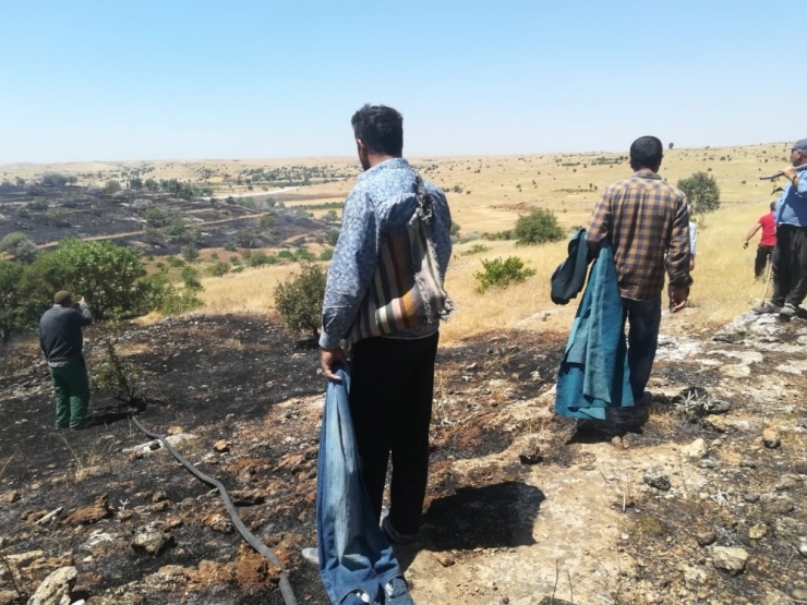 İtfaiyenin Erken Müdahalesi Ekinlerin Yanmasını Önledi