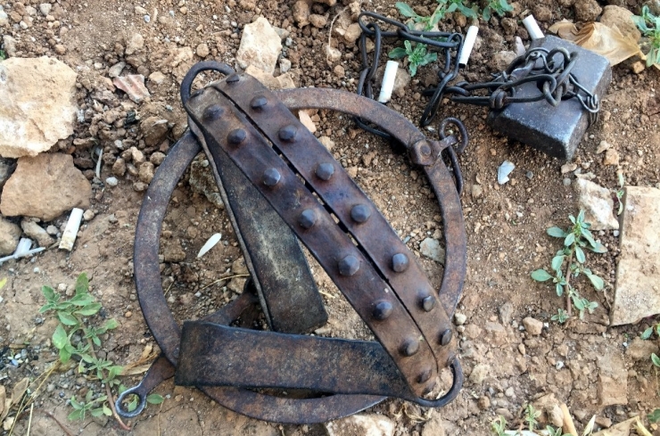 Ayağı Kapana Sıkışan Köpeğin İmdadına İtfaiye Yetişti